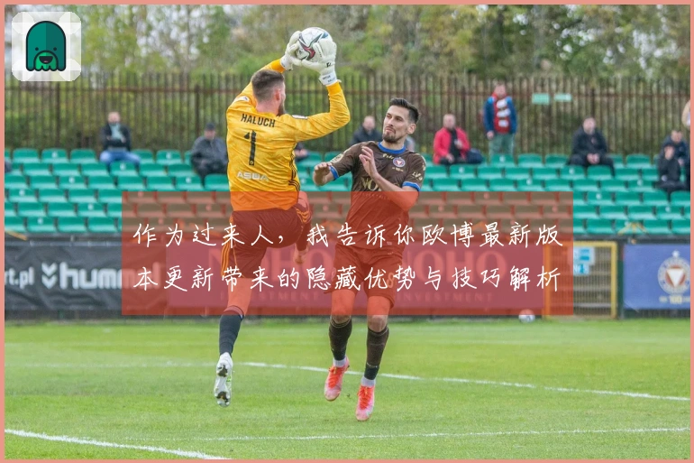 作为过来人，我告诉你欧博最新版本更新带来的隐藏优势与技巧解析