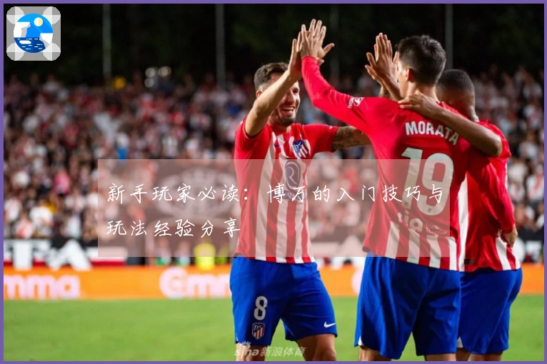 新手玩家必读：博万的入门技巧与玩法经验分享