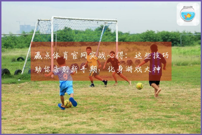 赢点体育官网实战心得：这些技巧助你告别新手期，化身游戏大神