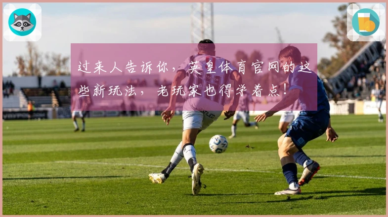 过来人告诉你，英皇体育官网的这些新玩法，老玩家也得学着点！